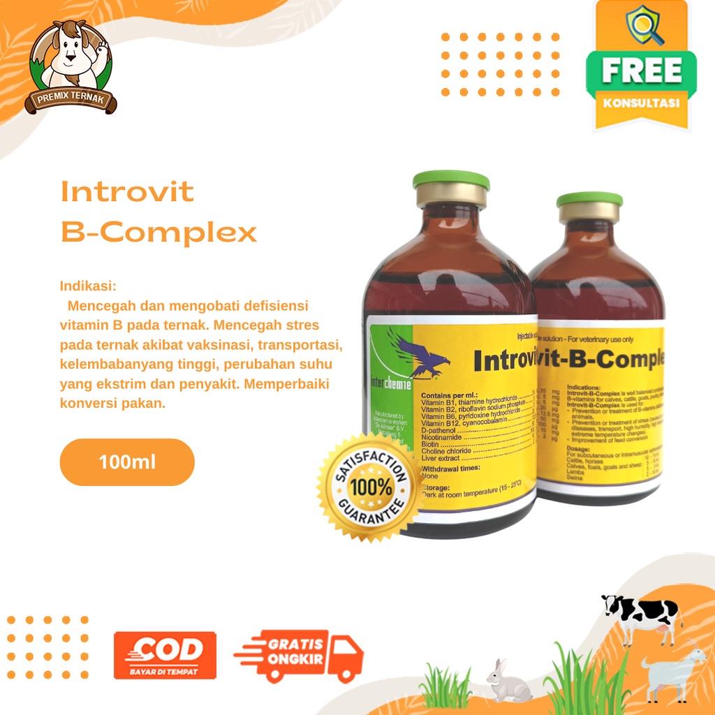 INTROVIT B COMPLEX 100ml Original -  (KONSENTRASI TINGGI DAN BIOTIN)