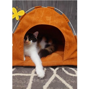 Rumah Tenda Portable / Kasur  untuk Kucing Dan Anjing