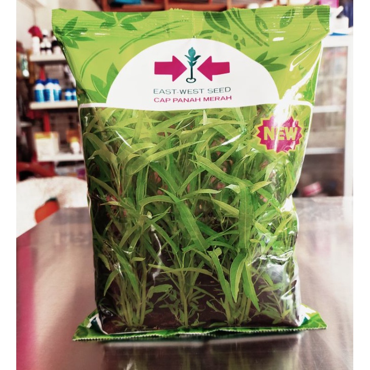 benih kangkung serimpi