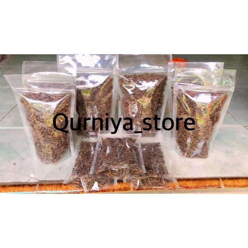 Maggot bsf kering 100 gram