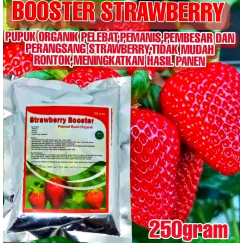 PUPUK BOOSTER STRAWBERRY ORGANIK 250 GRAM