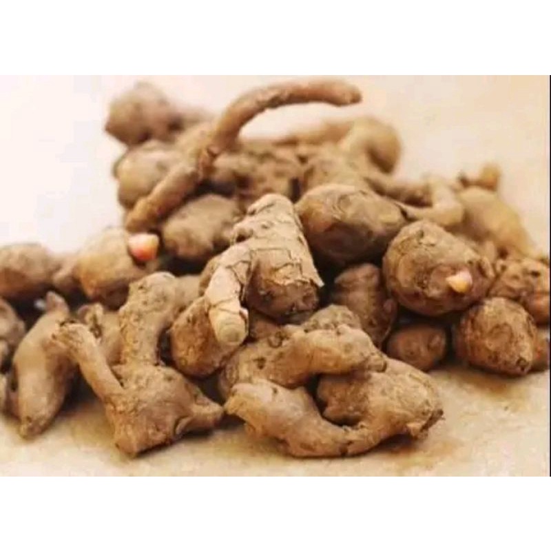 

Temu kunci / kunci