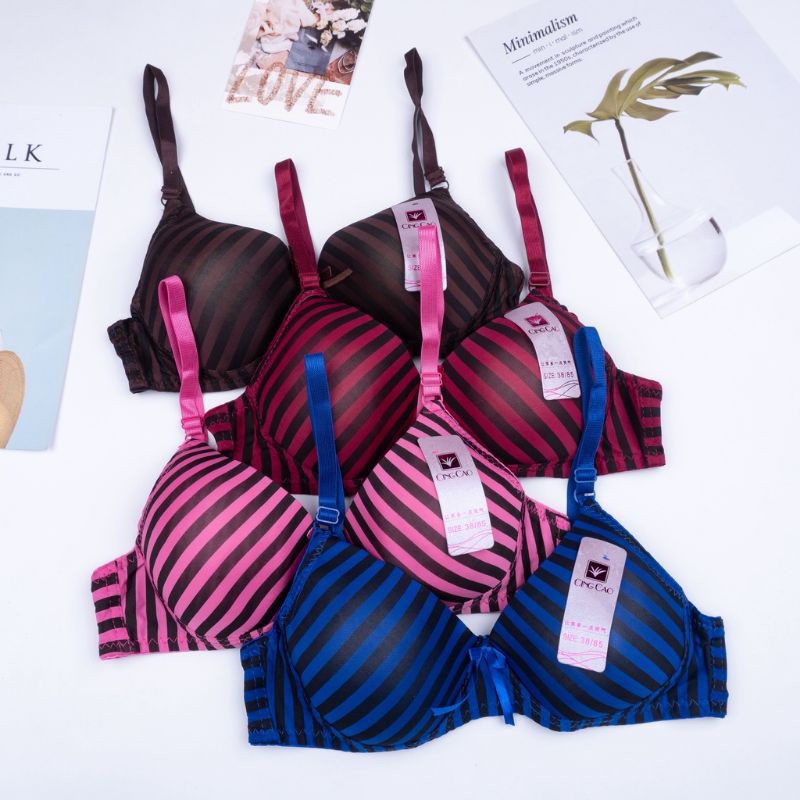ART 024 | 6 PCS (SETENGAH LUSIN) BRA BH XIANGCAO | YIYI | WENLY | JELLICA | ESSE SPORT | LUTTY