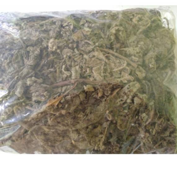 

STAR Daun Sembung Kering 500gr Asli