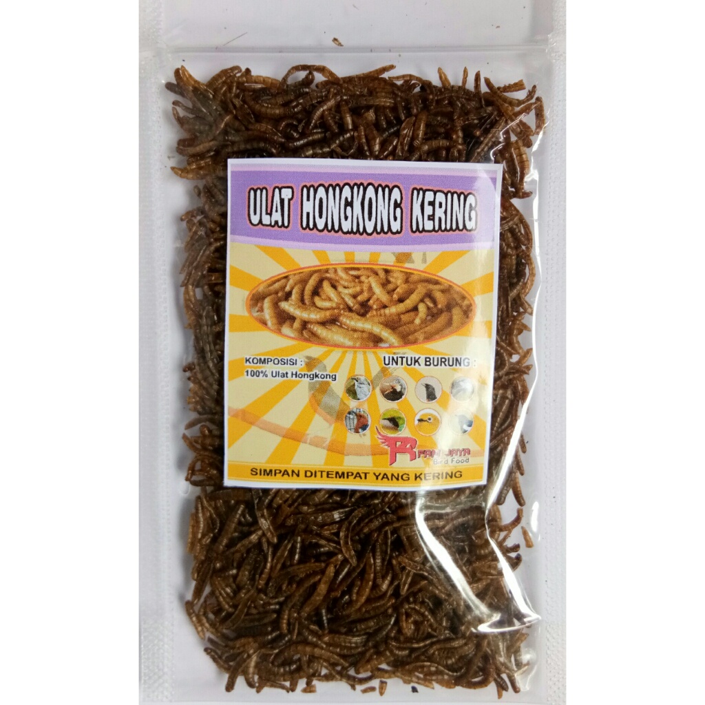 ULAT HONGKONG KERING 50 GRAM PAKAN LOUHAN CHANNA REPTIL BURUNG SUGAR GLIDER