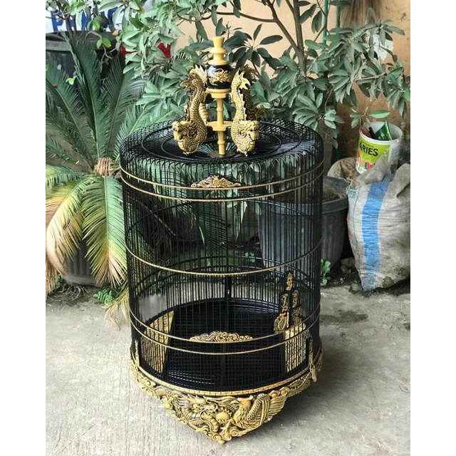 sangkar ukir, sangkar burung murai ukir naga, sangkar murai jati