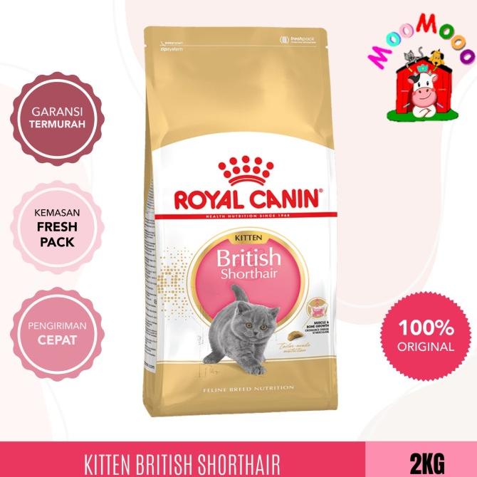 Promo Royal Canin Kitten British Shorthair 2 Kg - Makanan Kucing