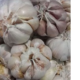 

Bawang Putih Honan/Banci Kulit Bersih Kualitas OK Kemasan 1 Kg