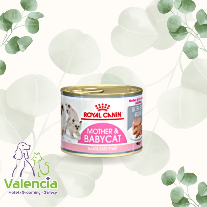 Royal Canin Mother and Baby Cat Kaleng/Makanan Kaleng Royal Canin