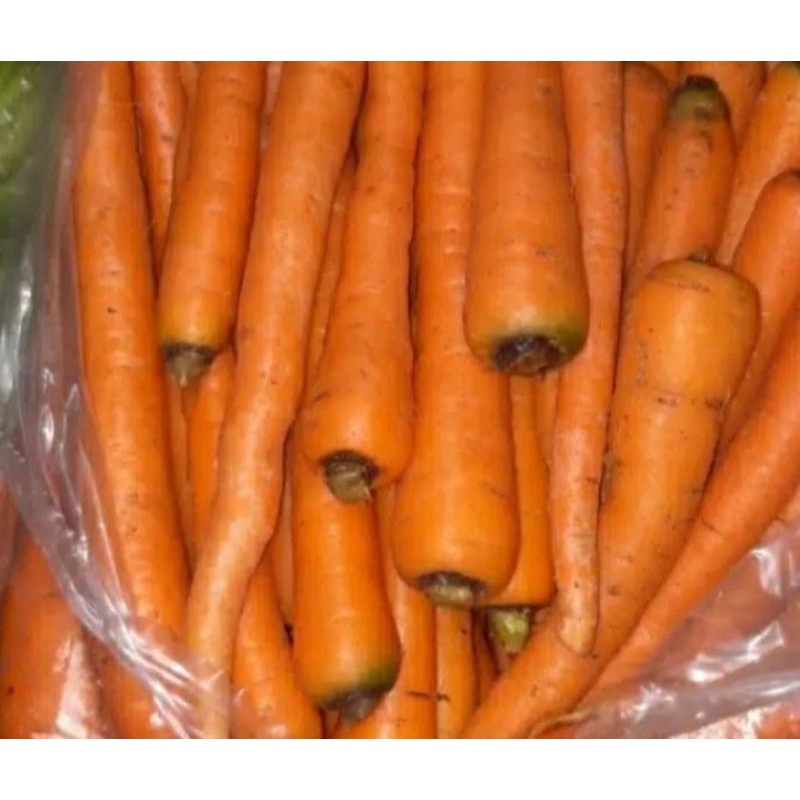 

Wortel Fresh