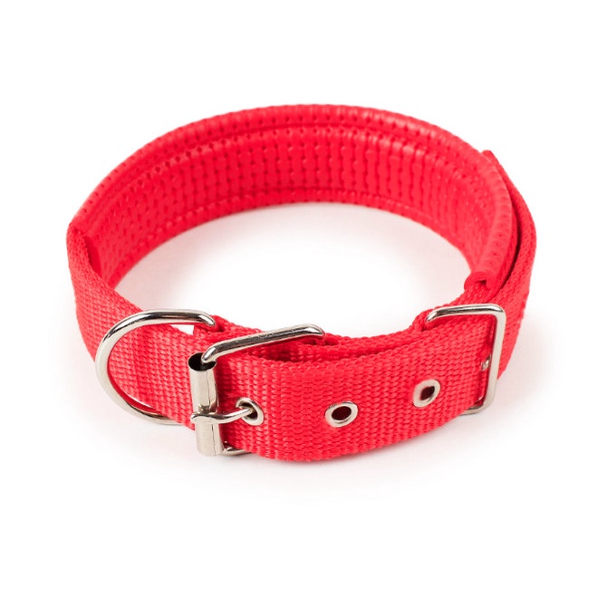 Kalung Kain Untuk Anjing Doggy Pet - Dog Collar Nylon Model Gesper