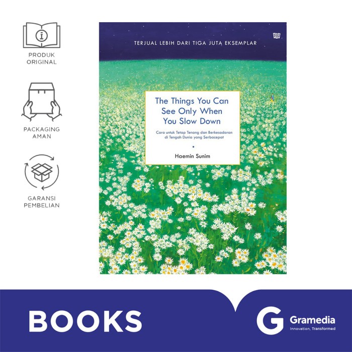 THE THINGS YOU CAN SEE ONLY WHEN YOU SLOW DOWN