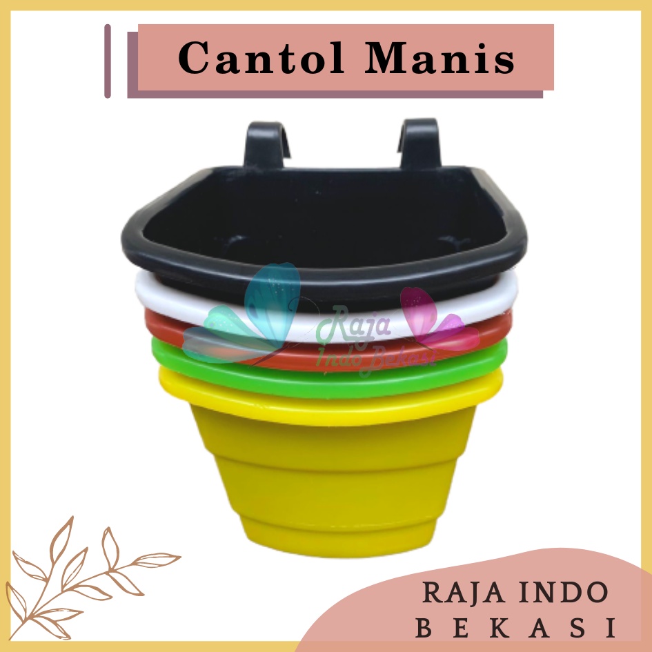 Pot DINDING CANTOL TEMPEL TIP Putih Hitam - Pot Dinding Tempel Manis Mini Murah Unik Pot Tempel Vertical Garden Pot Argo Mini