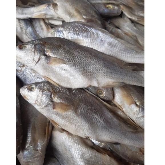 

(Z-Z7Z(㊛) Ikan Asin Sileman 500 gr trending