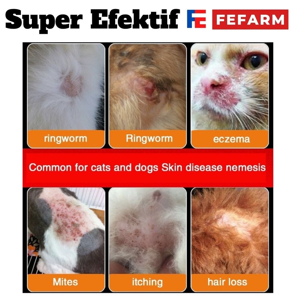 SALEP ANTI JAMUR DAN BAKTERI SUPER AMPUH UNTUK KUCING FEFARM