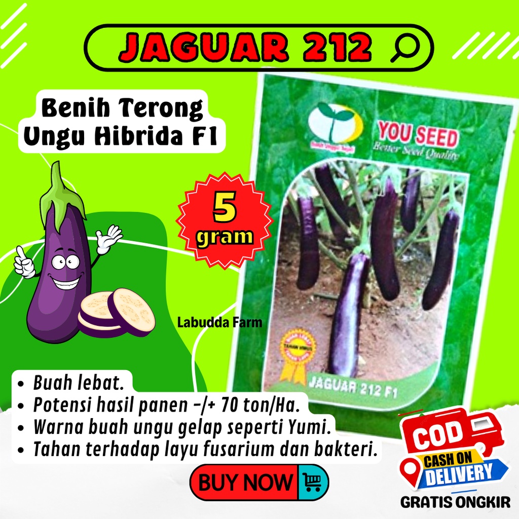 Jaguar 212 F1 Benih Terong Ungu 5 Gram Original Pabrik You Seed - Benih Unggul Terong Jaguar Buah Le