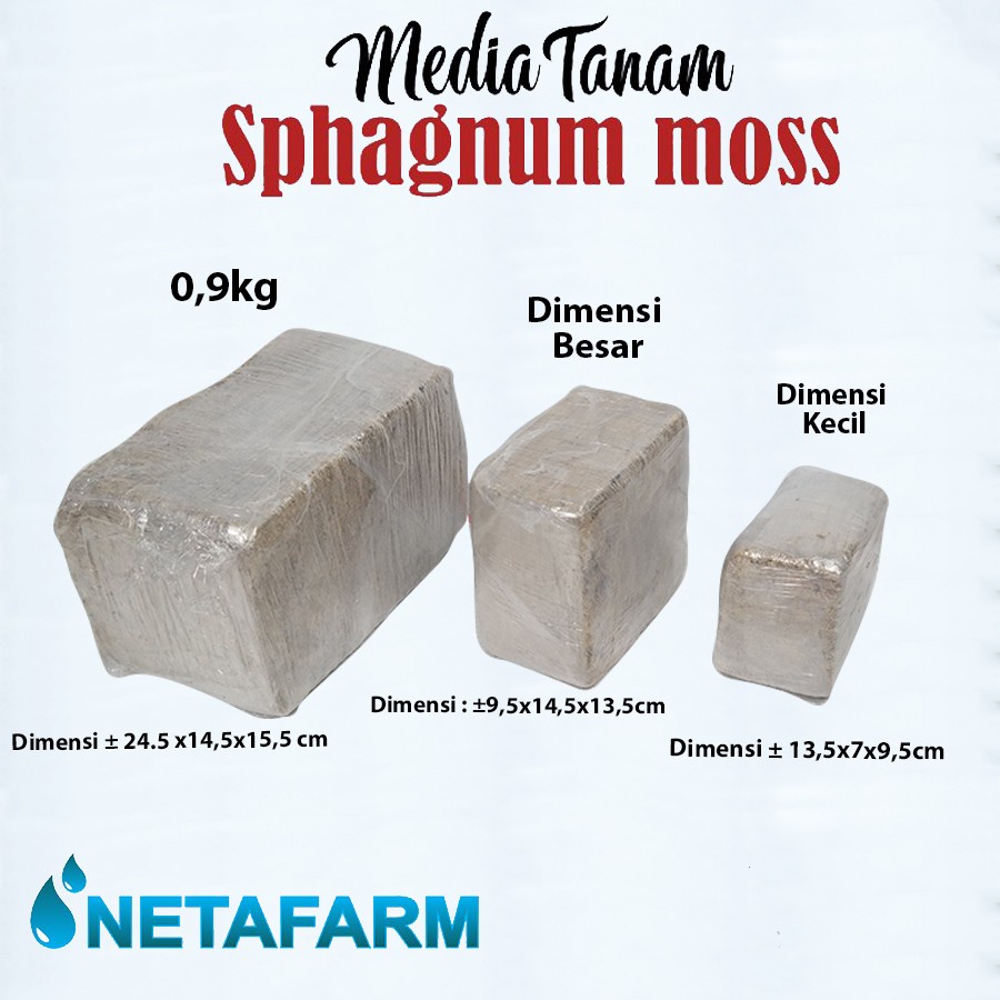 Media Tanam -SPHAGNUM MOSS CHILE ( Dimensi KECIL )