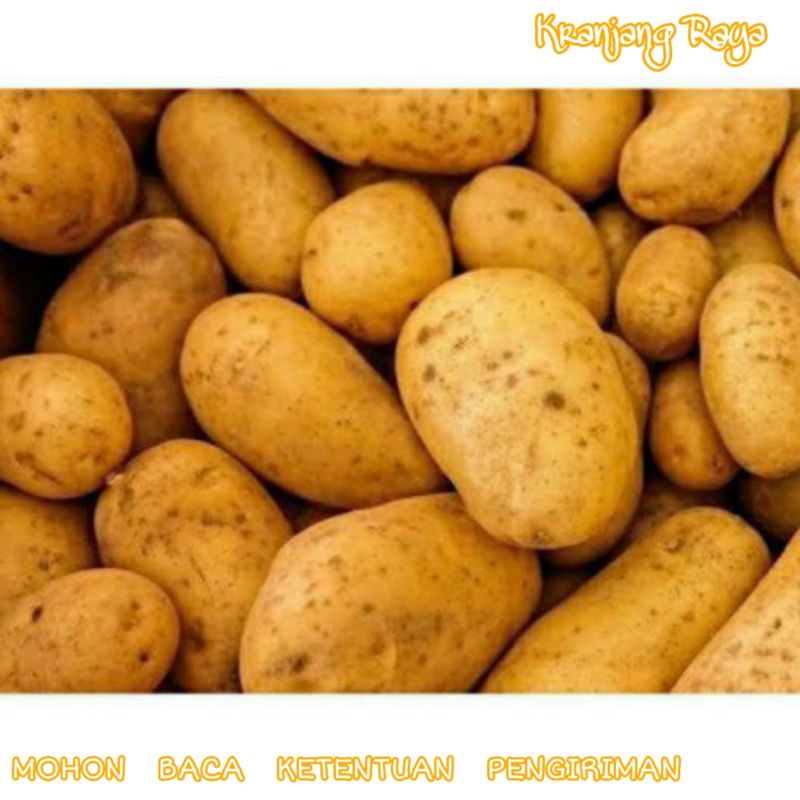 

kentang segar 250 gram kentang lokal