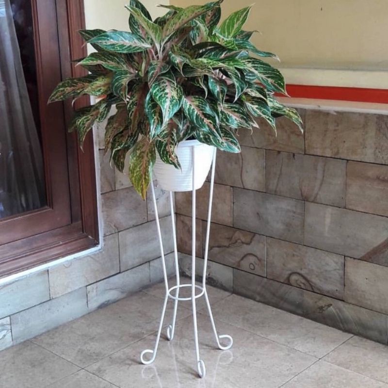PAMUJI Standingpot Standing Pot Rak Bunga Tanaman Hias Standing Planter Besi Pot Holder Rak Bunga Ta