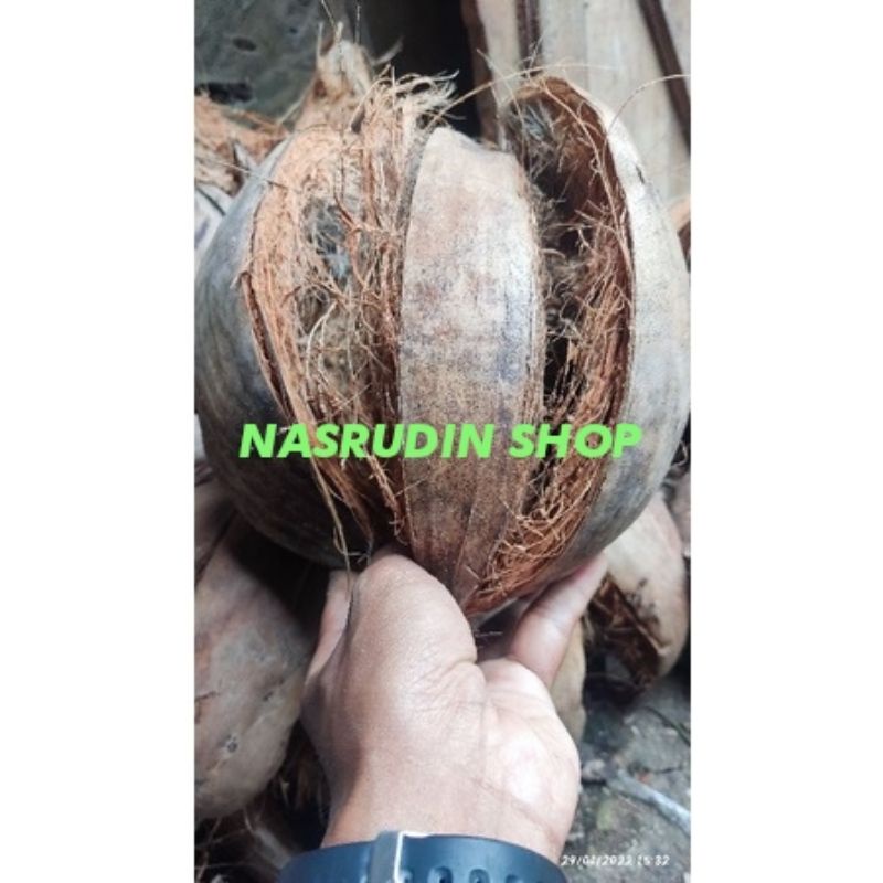 

[Fresh] SABUT KELAPA UTUH / SERABUT KELAPA UNTUK MEDIA ANGGREK DAN LAIN