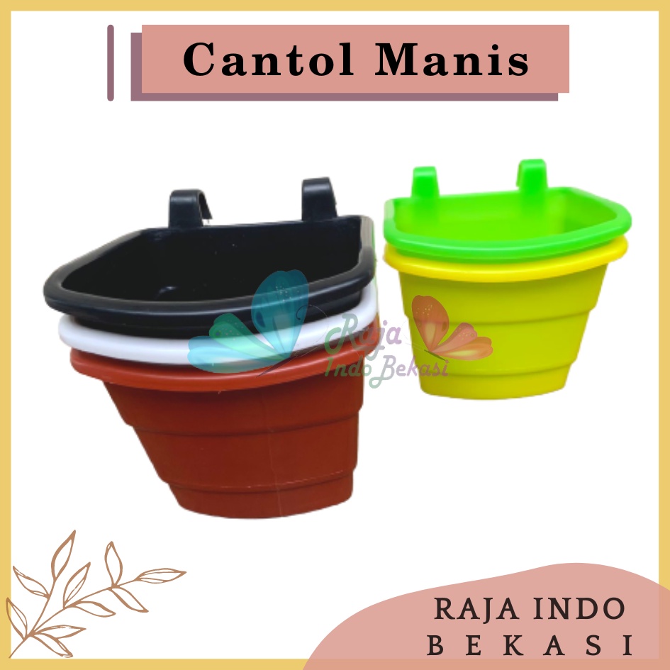 Pot DINDING CANTOL TEMPEL TIP Putih Hitam - Pot Dinding Tempel Manis Mini Murah Unik Pot Tempel Vertical Garden Pot Argo Mini