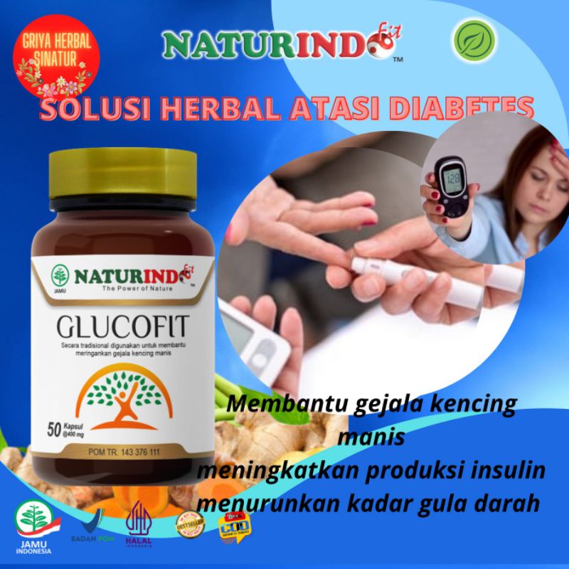 GLUCOFIT SPESIAL DIABETES/KENCING MANIS
