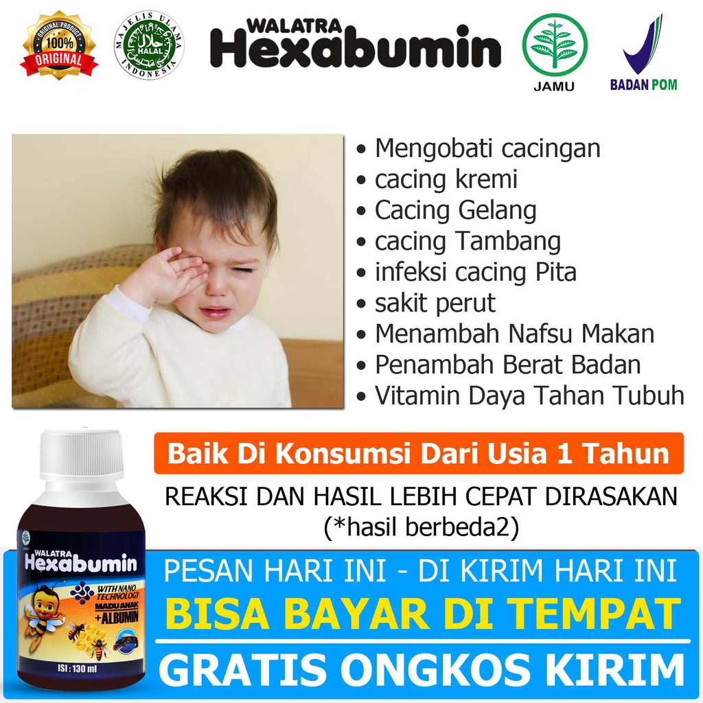 Hexabumin Obat Cacing Untuk Anak Cacingan Kremi Tambang Gelang Gatal Di Sekitar Anus Gelisah Infeksi