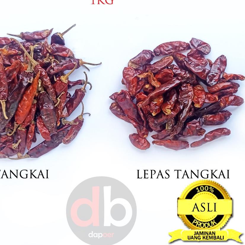 

FRESHH ✤ Cabe Teja Kering 1kg | Cabe Rawit Extra Pedas+