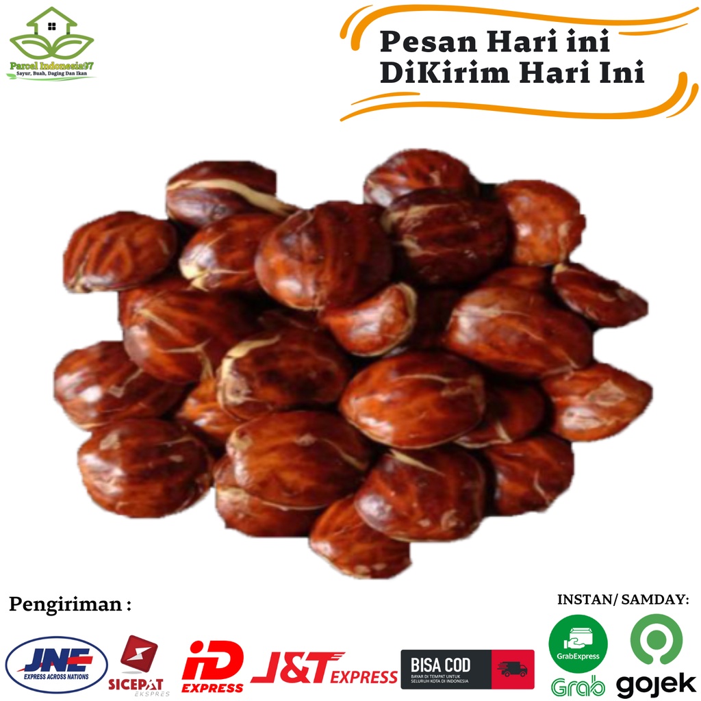 

Jengkol Tua jengki Mentah