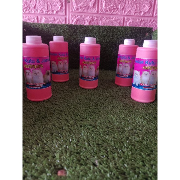 Bedak kutu kucing ambyar