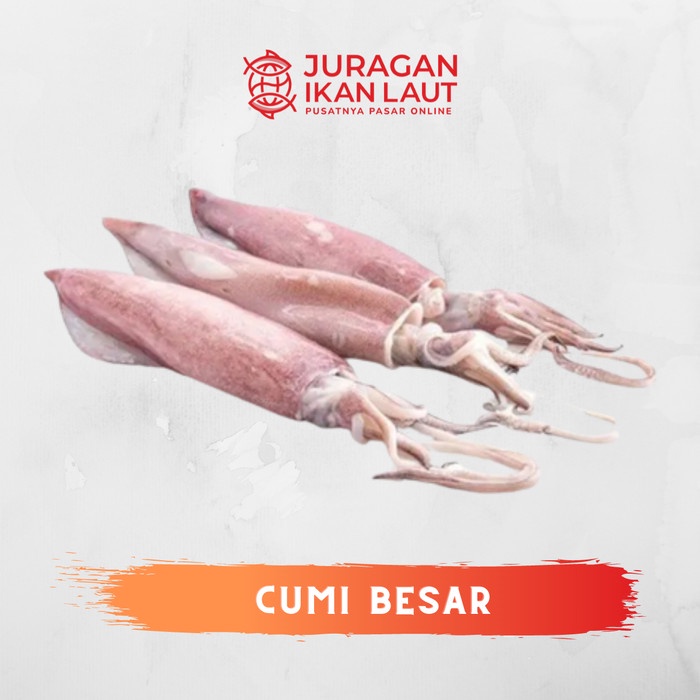 

Cumi Cumi Besar Isi 4 ~ 9 Segar Berkualitas - 1 Kilogram