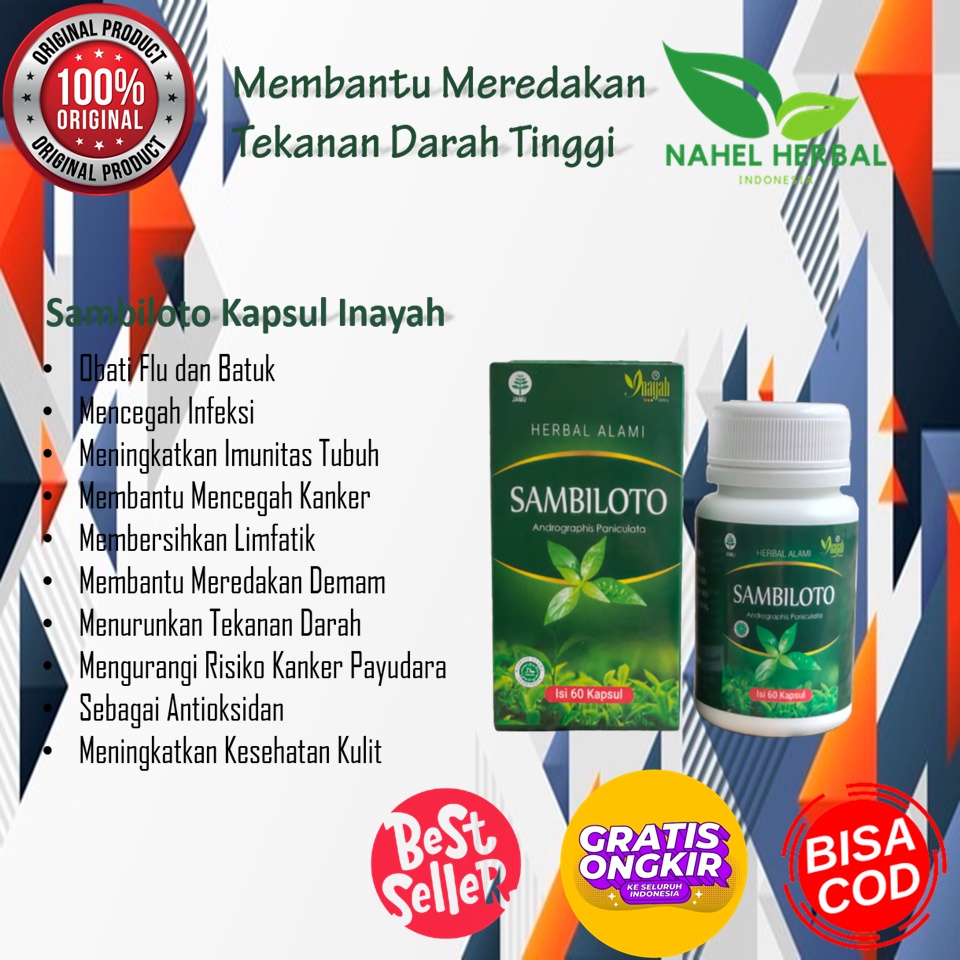 Obat Herbal Asam Urat Kolesterol Dan Sendi Paling Ampuh Resep Dokter Diapotik - Kapsul Sambiloto Ina