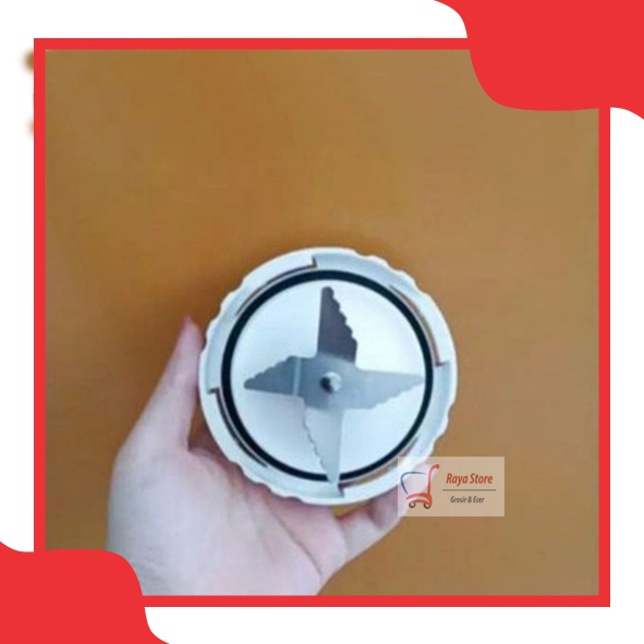 Mounting blender philips