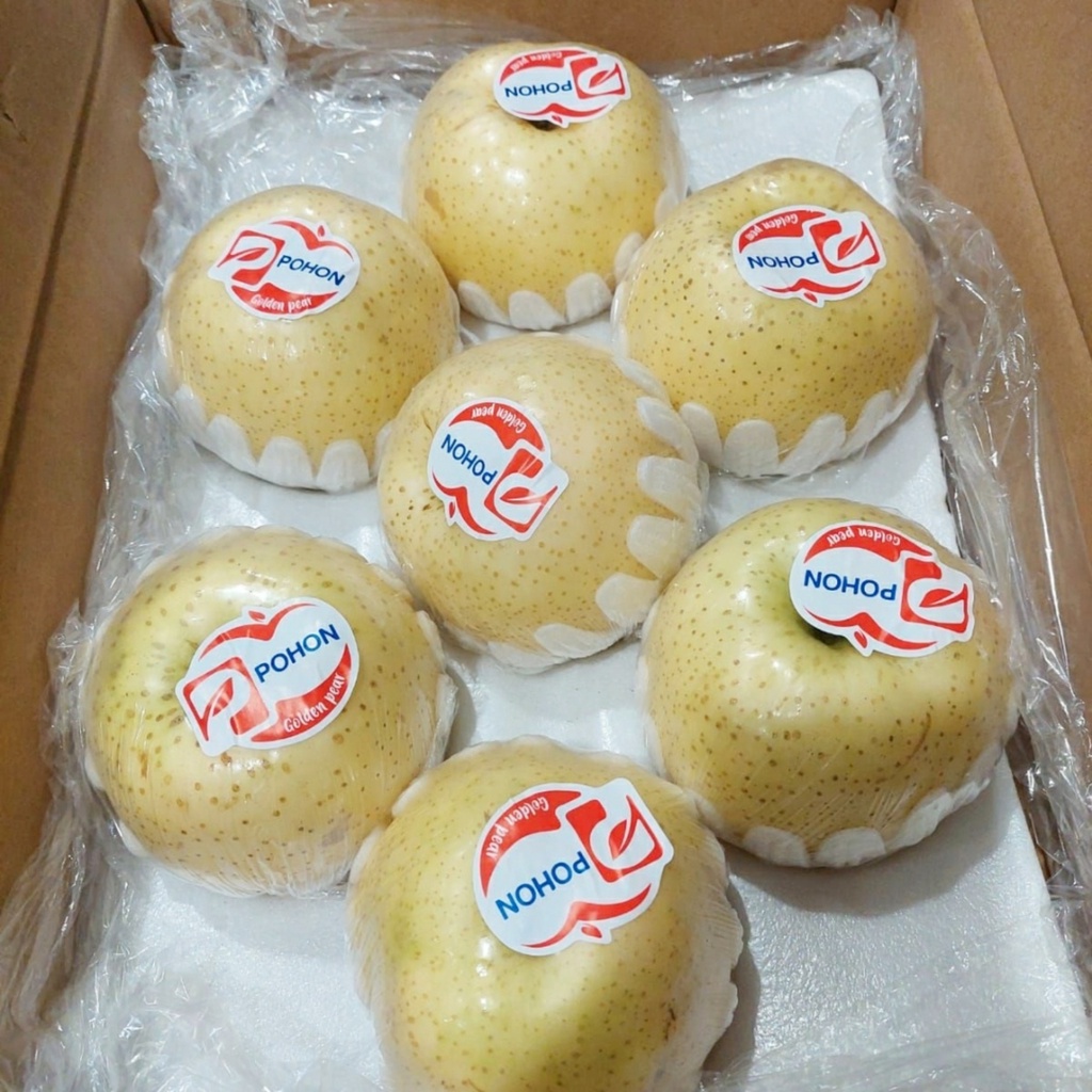 

POHON PEAR GOLDEN PREMIUM IMPORT MANIS SEGAR 8,5 KG KARTON