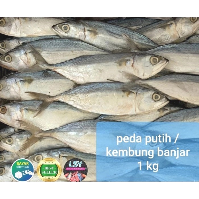 

ikan asin Peda putih super/ kembung banjar 1 kg