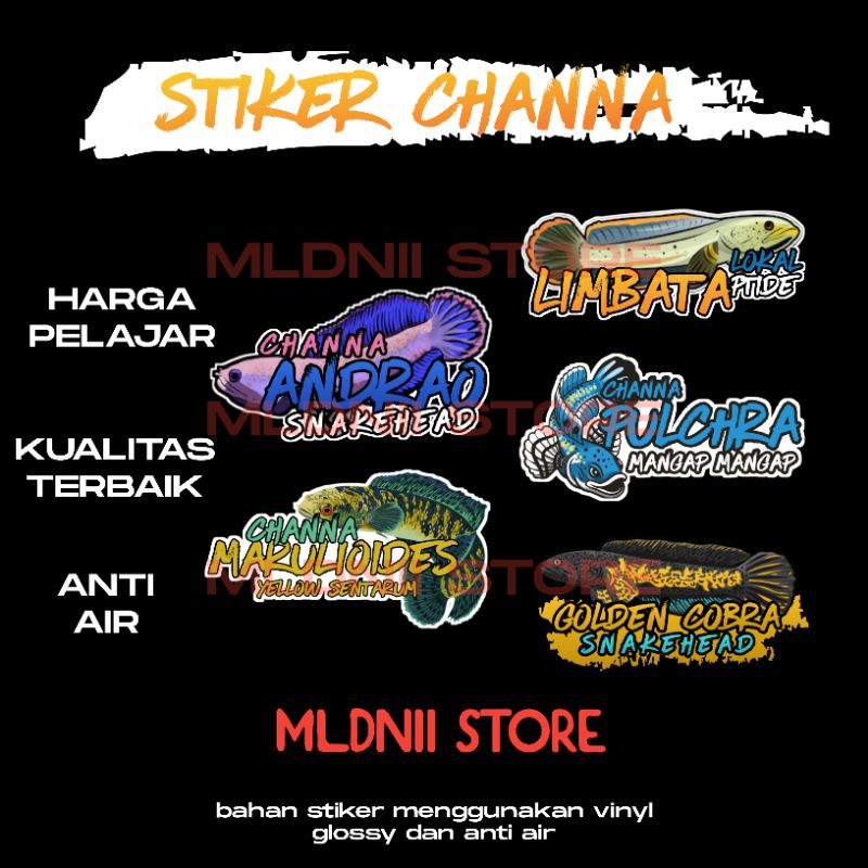stiker channa stiker aquarium glossy tahan air