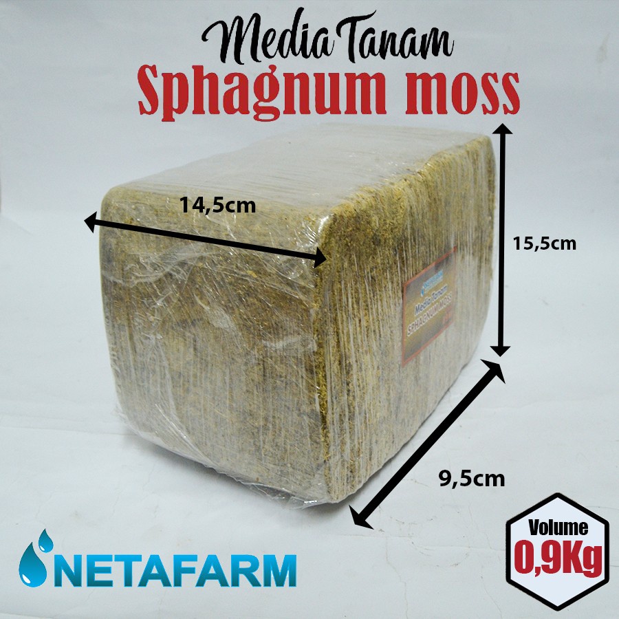 Media Tanam Sphagnum Moss PADAT KERING Dimensi 0,9 KG - 1 pcs