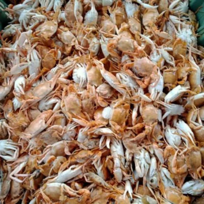 baby crab mentah 1kg