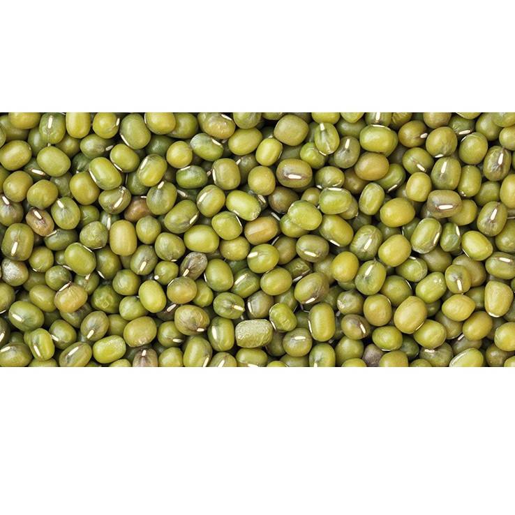 

[KODE 67SUK] Kacang Hijau Import Australia Large Green Mung Beans 500g