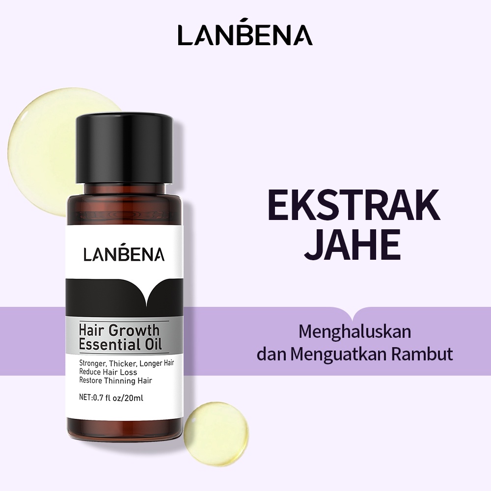 (READY &amp; ORI) LANBENA Hair Growth Essential oil LB0380 0380 7426