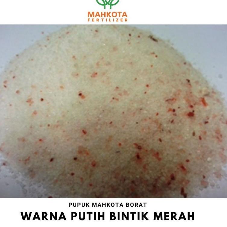 Jual Wzxd Pupuk Mikro El Borato Borat Boron Reapack Kg Mahkota Original Shopee