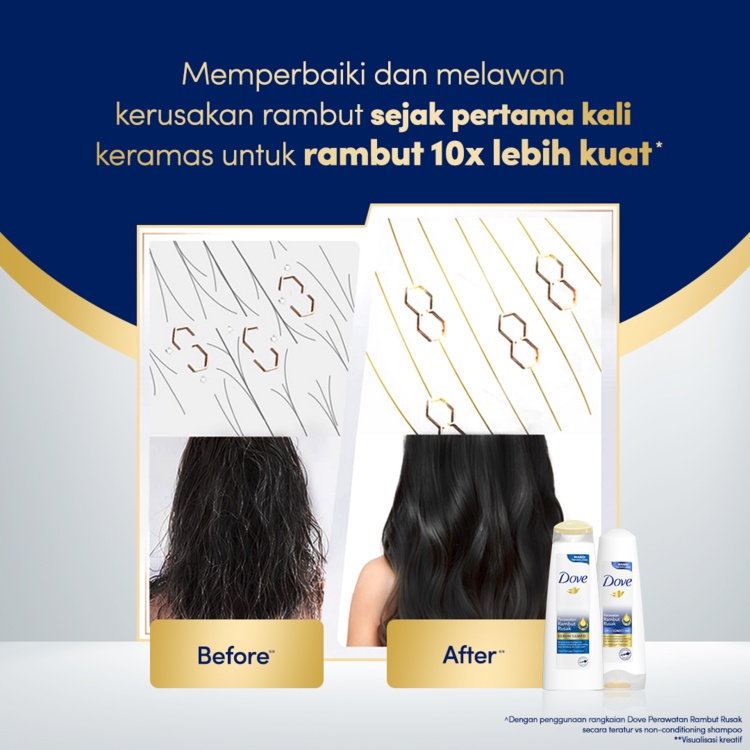 Dove Shampo Perawatan Rambut Rusak 290ml Twinpack