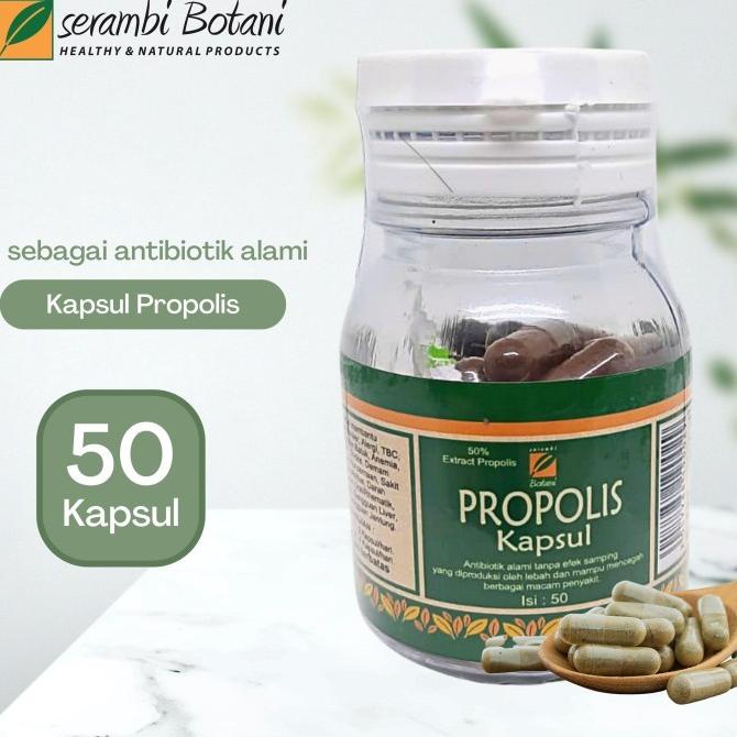 Kapsul Propolis Serambi Botani - Antibiotik Alami
