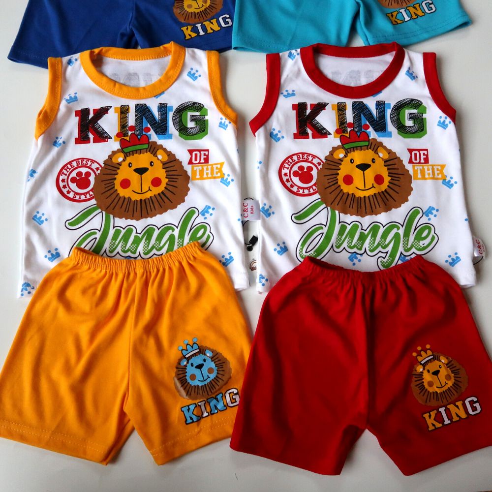 Setelan Kaos Bayi Laki-Laki Import Premium 9-12 bulan