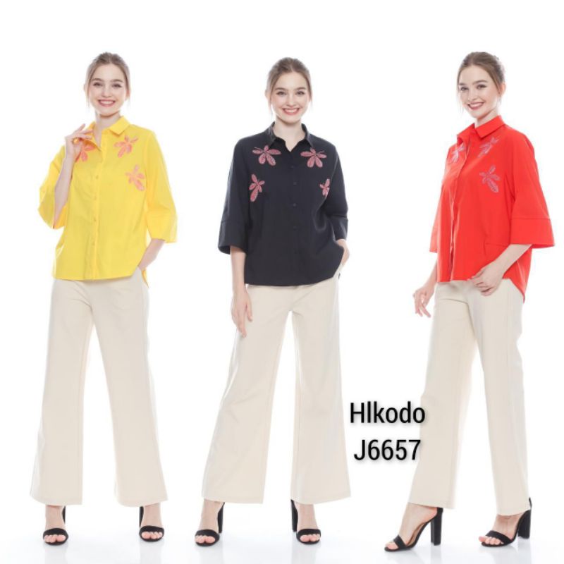 Blouse HlKODO J6657