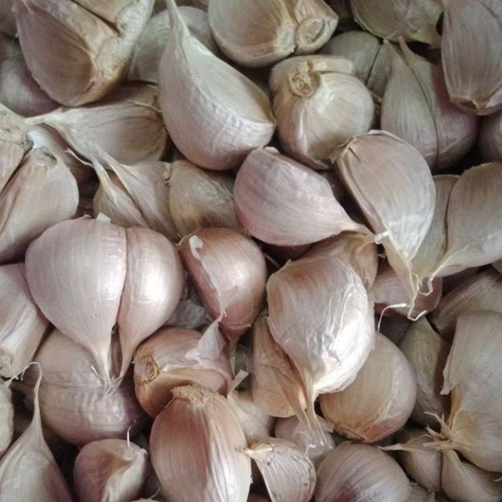 

44F♡ bawang putih kating 1kg Barang Terlaris