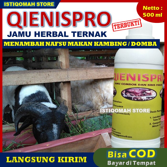 Obat Penambah Nafsu Makan Sapi QIENISPRO 500ML Obat Vitamin Nafsu Makan untuk Sapi - Jamu Penggemuk Sapi dan Gemuk Sapi - Obat Nafsu Makan Sapi - Obat Gemuk dan Penambah Nafsu Makan untuk Sapi - Obat Penambah Nafsu Makan pada Sapi