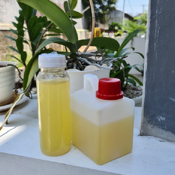 

Madu PutihCurah1/2kg