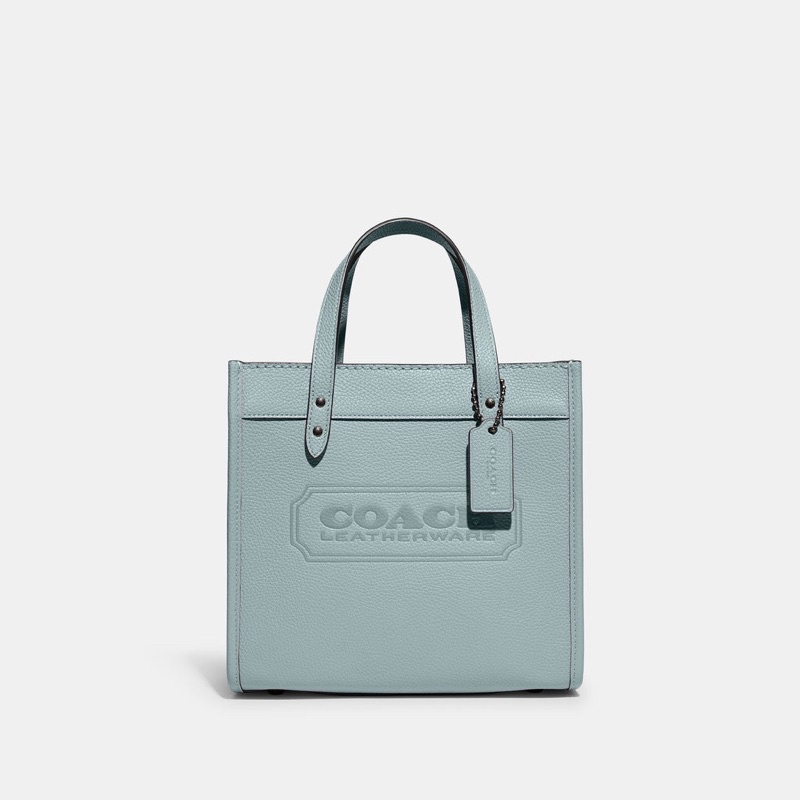 Coach Field Tote 22 In Colorblock Leather Shoulder Bag (CA089)