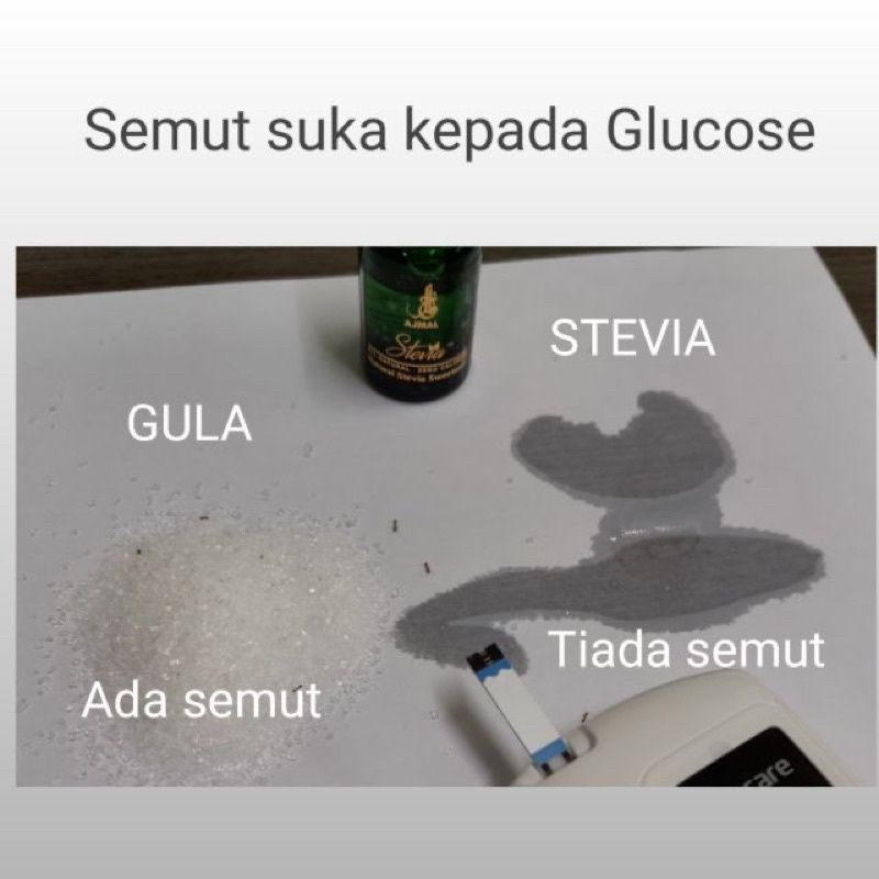 STEVIA AJMAL - Pemanis Alami untuk Penderita Diabetes, Diet | Pemanis Alami Tanpa Kalori | Pengganti Gula